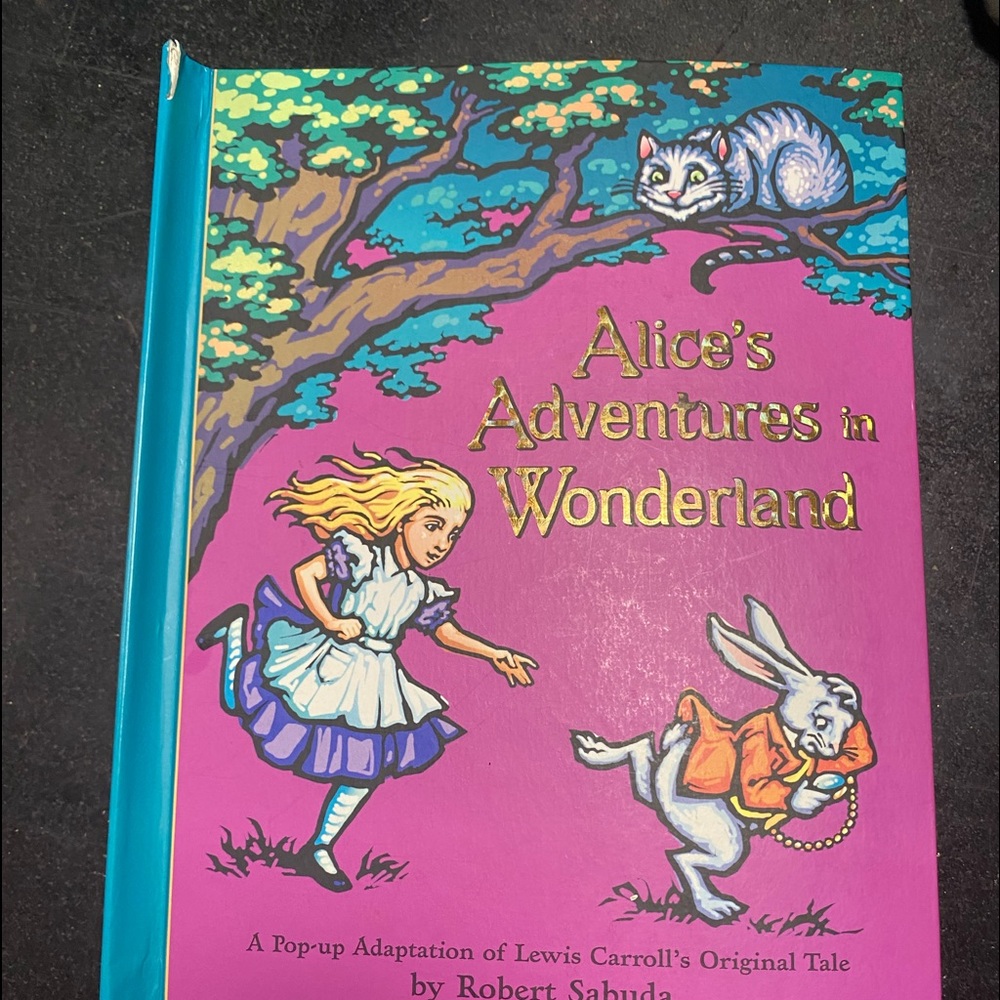 Pop up book/AIW